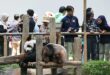 Zoo Negara looking to enhance programmes