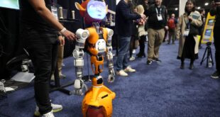 At CES 2024 tech show seeking robots neither too human