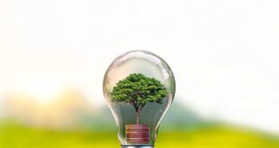 Building a sustainable future through an Asean ‘Green Deal