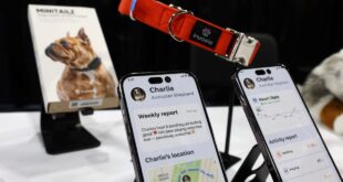 CES 2024 pet tech Throw a dog a bone –