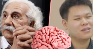 Clever or con Young China merchant sells 70000 virtual ‘Einstein