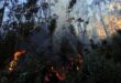 Colombia human rights ombudsman urges action to prevent fires