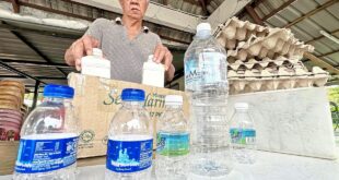 Doorstep pickup of recyclables gets traction