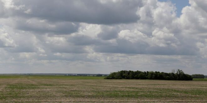 Explainer Western Canadas dry winter heralds worsening drought for 2024