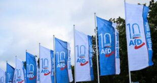 Far right party denies backing deportation of unassimilated Germans