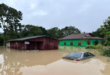 Floods Felda Chini Timur 3 never hit this badly before