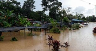 Floods Number of victims in Johor Pahang increases to 8462