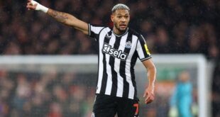 Football Soccer Joelinton out for minimum six weeks with injury Newcastle