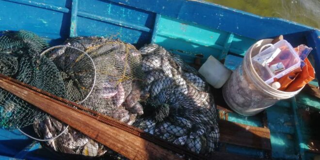 Four boats used in fish bombing seized in Semporna fishermen