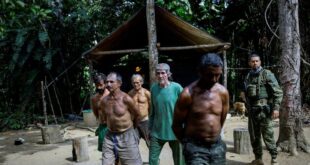 Gold miners bring fresh wave of suffering to Brazils Yanomami