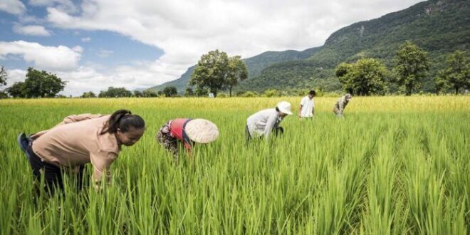 Knowledge sharing peer support vital to advancing agriculture sector says