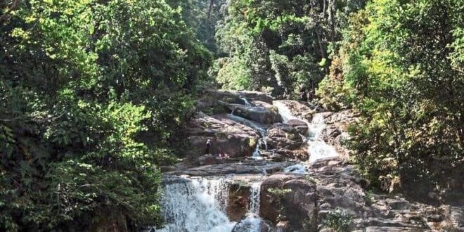 Malaysia nominates FRIM Selangor Forest Park as Unesco world heritage