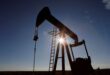 Oil rises on US crude withdrawal China stimulus