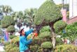 RM1mil to expand greenery in Johor Baru