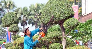 RM1mil to expand greenery in Johor Baru