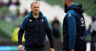 Rugby Rugby Australia turn to Schmidt to revive ailing Wallabies