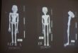 Scientists assert alien mummies in Peru are really dolls made