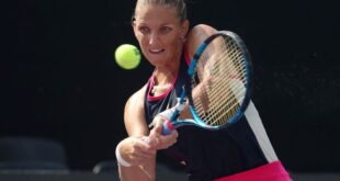 Tennis Tennis Pliskova rallies to oust Osaka in Brisbane