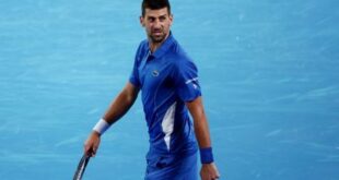 Tennis Tennis Say it to my face Djokovic tells heckling fan