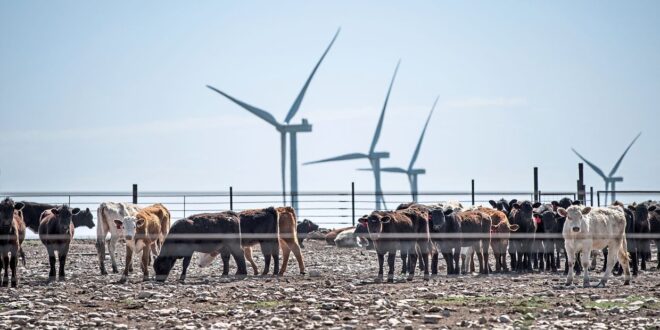 Texas bans BlackRock funds buying oil stocks