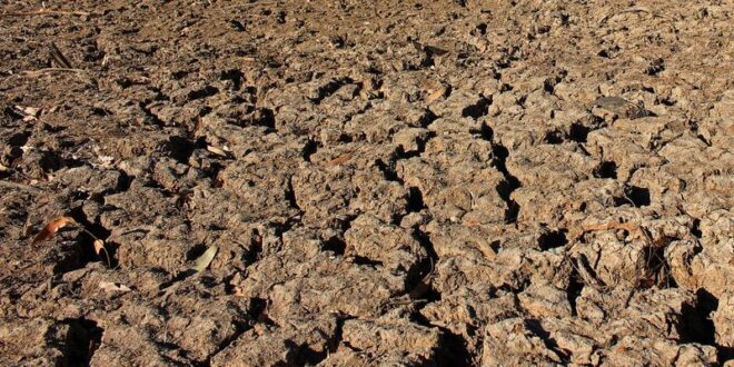 Australia records its 8th warmest year as climate change lifts