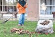 Bag and tie up your garden waste Subang Jaya residents