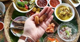 Influencers food adventure videos to focus on Sabahs delicacies