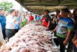 Jualan Kasih brings plenty of smiles