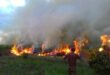 Measures in place in Sabah to fight any forest fire