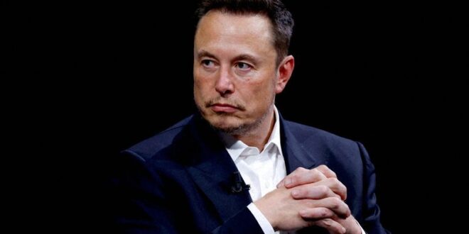 Musk Tesla shareholder to propose a stay of pay ruling