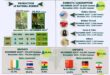 Natural rubber production eases to 30342 tonnes in December 2023