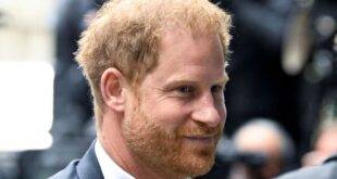 Prince Harry vows to see press mission to the end