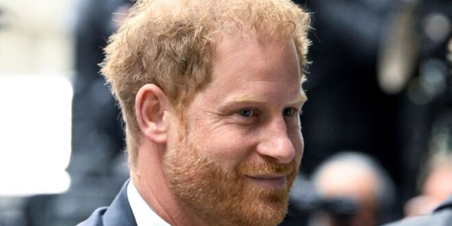 Prince Harry vows to see press mission to the end