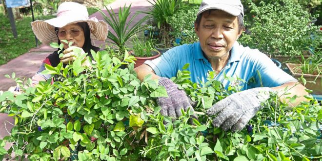 Public against Sungai Bunus retention pond degazettement