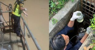 Strange smells at two Selangor rivers originated from industrial area