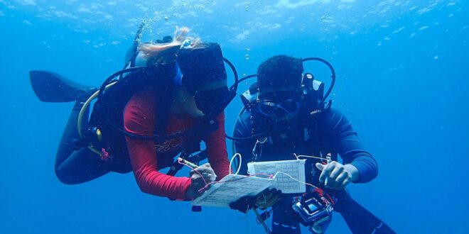 Survey finds coral reefs at islands off Mersing generally healthy