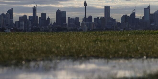 Sydney parks cordoned off Mardi Gras event cancelled after asbestos