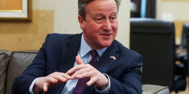 UKs Cameron vows to protect Falkland Islands