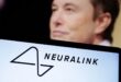 Want details on Elon Musks brain implant trial Youll have