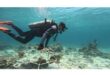 Young people take charge to restore coral reefs at Mabul