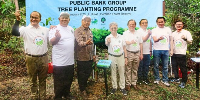 Bank joins trust and forestry department to plant 1000 trees