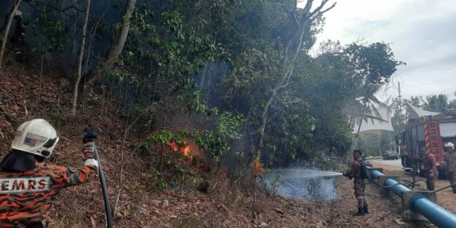 Cases of bushfires in Sabah increased by over 600 from