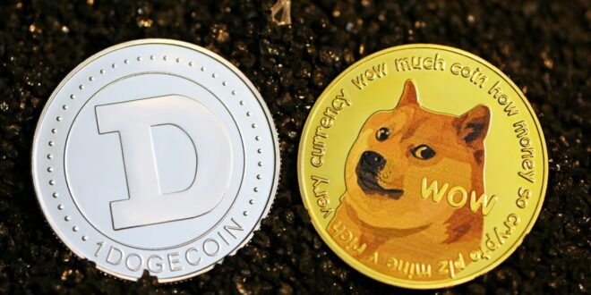 Dog and frog coins The ABCs of a RM234bil joke