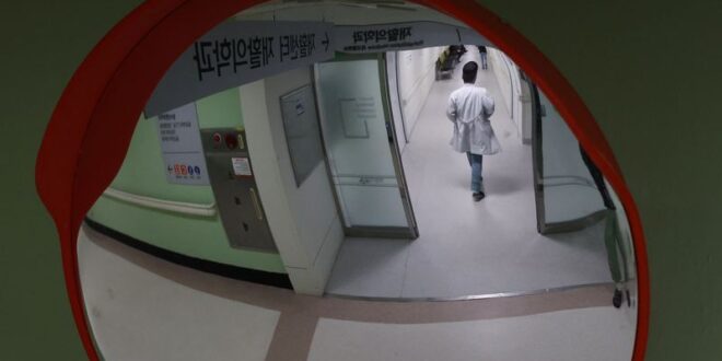 Explainer Why South Korean doctors and the government remain at odds