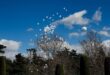 Flowers music and silence mark 20th anniversary of Madrid train