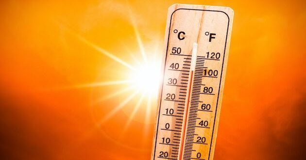 Heatwave Thirteen cases of heat related illness recorded this year