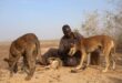 Hunters in Niger lament loss of range to Islamist threat