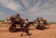 Millions of Sudanese go hungry as war disrupts food supply