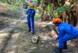 Sabah Civil Defence gets hundreds of reports of snakes in