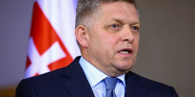 Slovak PM Fico looms large in presidential election